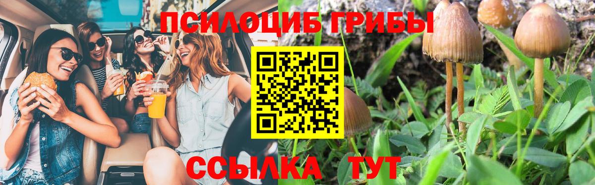 Галлюциногенные грибы мухоморы  Вход с VPN  Славгород 