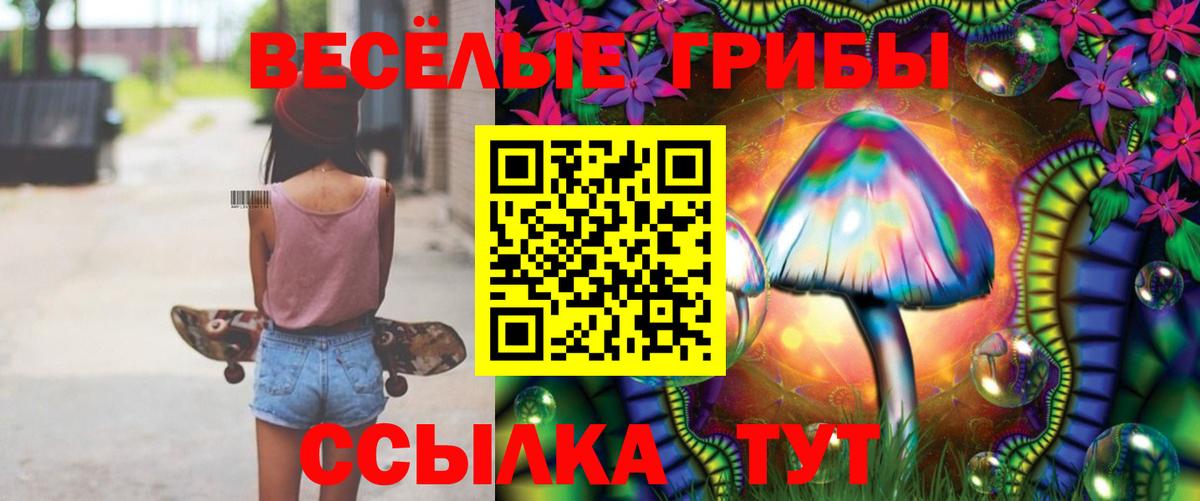 Псилоцибиновые грибы Cubensis Славгород